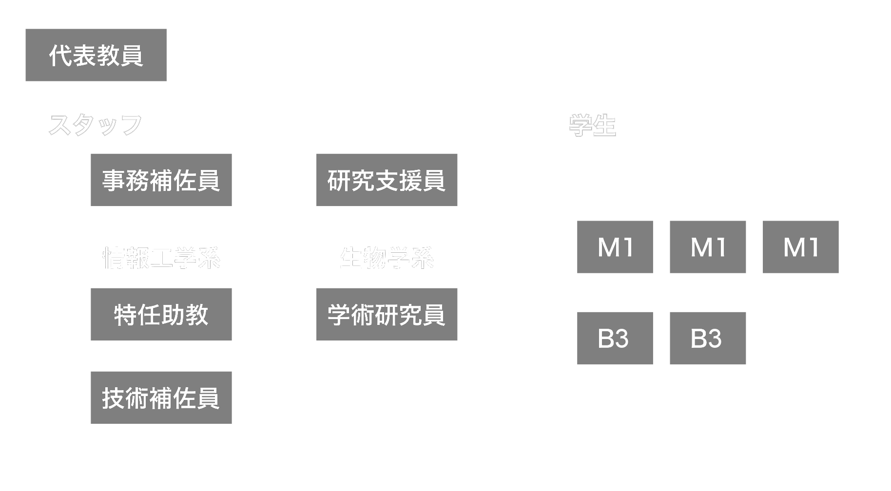 ラボメンバー